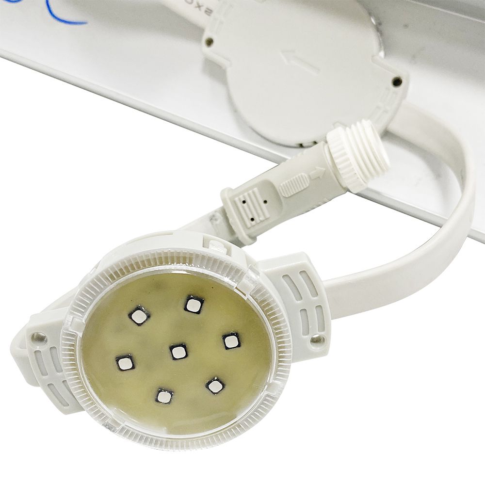 壹号娱乐 - NG大舞台,有梦你就来